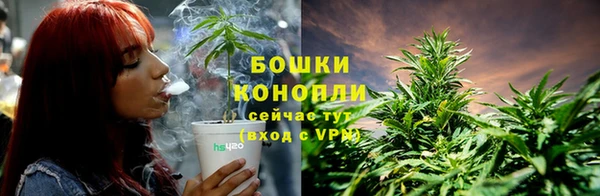 бошки Кодинск