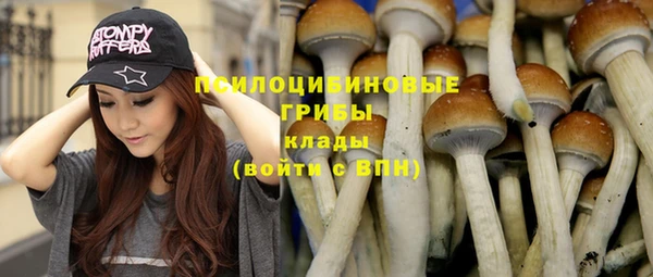 гидра Козловка