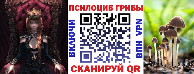 площадка как зайти  купить наркотики сайты  Краснознаменск  Галлюциногенные грибы Magic Shrooms 